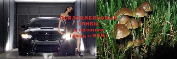 2c-b Армянск