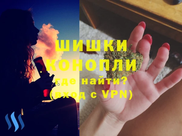 МДПВ Алексин